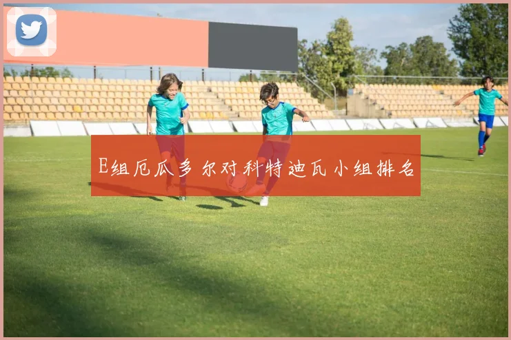 E组厄瓜多尔对科特迪瓦小组排名