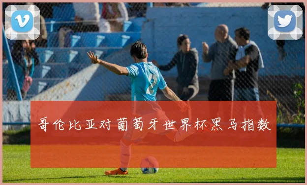 哥伦比亚对葡萄牙世界杯黑马指数