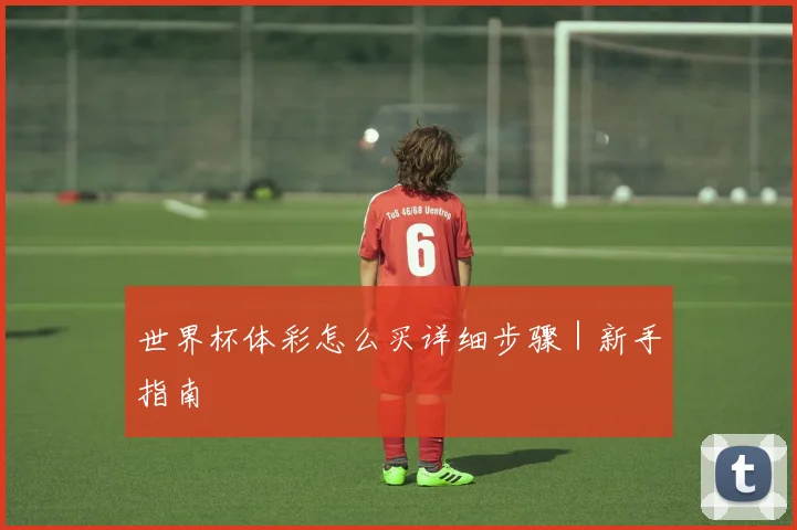 世界杯体彩怎么买详细步骤｜新手指南