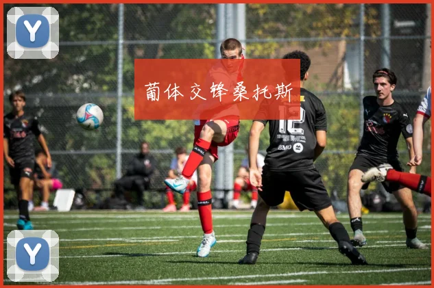 葡体交锋桑托斯