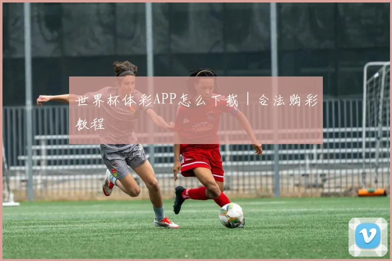世界杯体彩APP怎么下载｜合法购彩教程