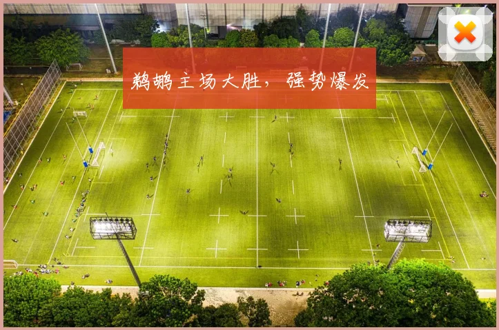 鹈鹕主场大胜，强势爆发
