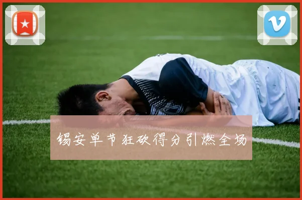 锡安单节狂砍得分引燃全场