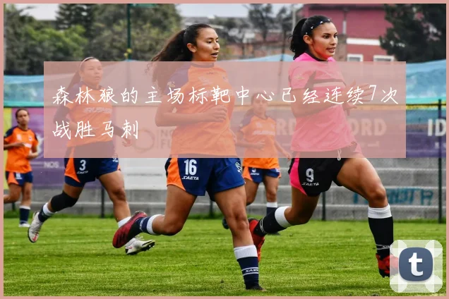 森林狼的主场标靶中心已经连续7次战胜马刺