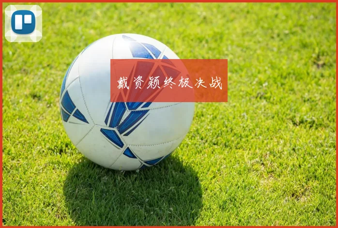 戴资颖终极决战
