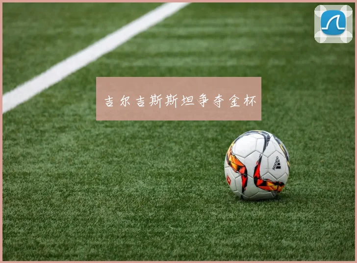 吉尔吉斯斯坦争夺金杯