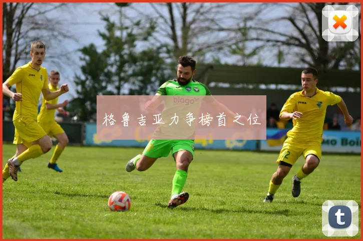 格鲁吉亚力争榜首之位