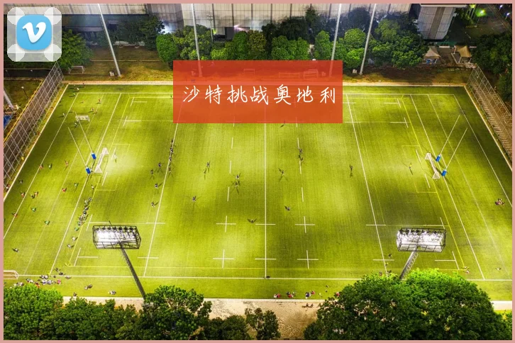 沙特挑战奥地利