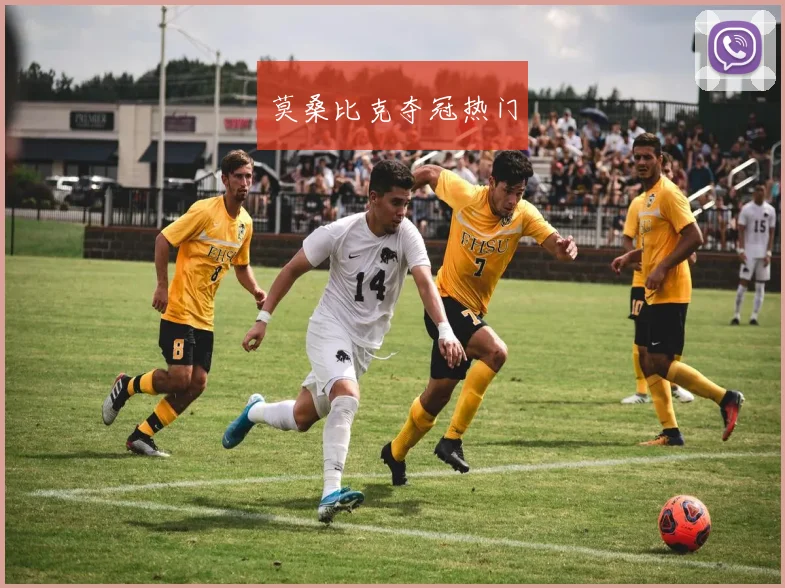 莫桑比克夺冠热门
