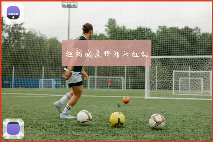 纽约城交锋浦和红钻