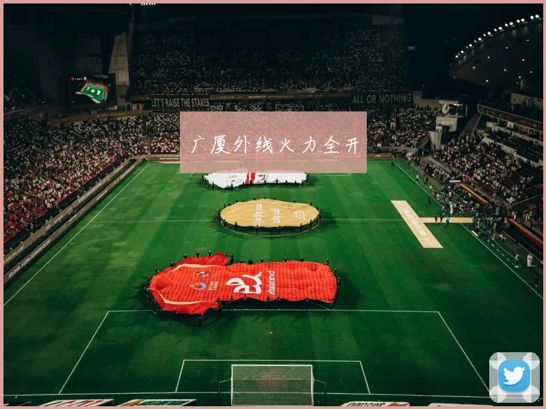 广厦外线火力全开