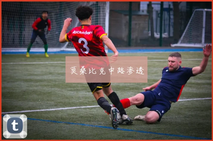 莫桑比克中路渗透