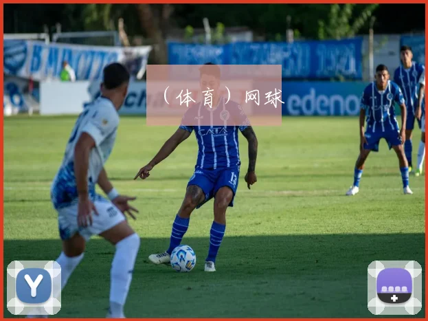 （体育）网球