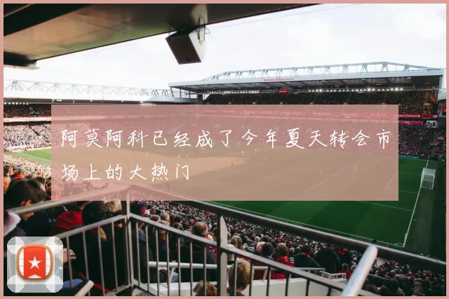 阿莫阿科已经成了今年夏天转会市场上的大热门