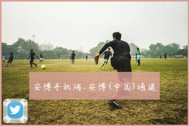 安博手机端_安博(中国)通道