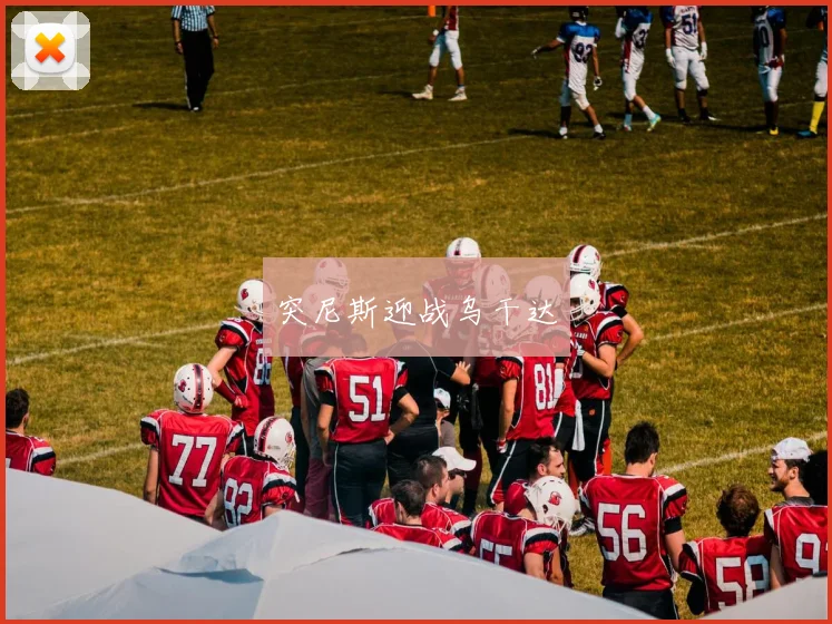 突尼斯迎战乌干达