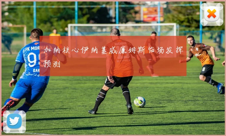 加纳核心伊纳基威廉姆斯临场发挥预测