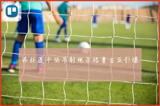 弗林蓬半场吊射绝杀格鲁吉亚引爆
